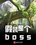 ��װ�Ǹ�boss