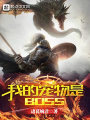 �ҵĳ�����BOSS